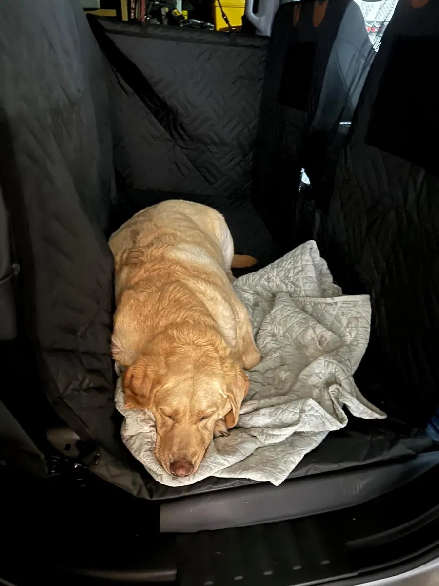 Foto do cliente usando o protetor (3:4)