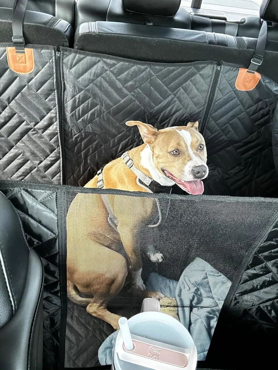 Foto do cliente usando o protetor (3:4)